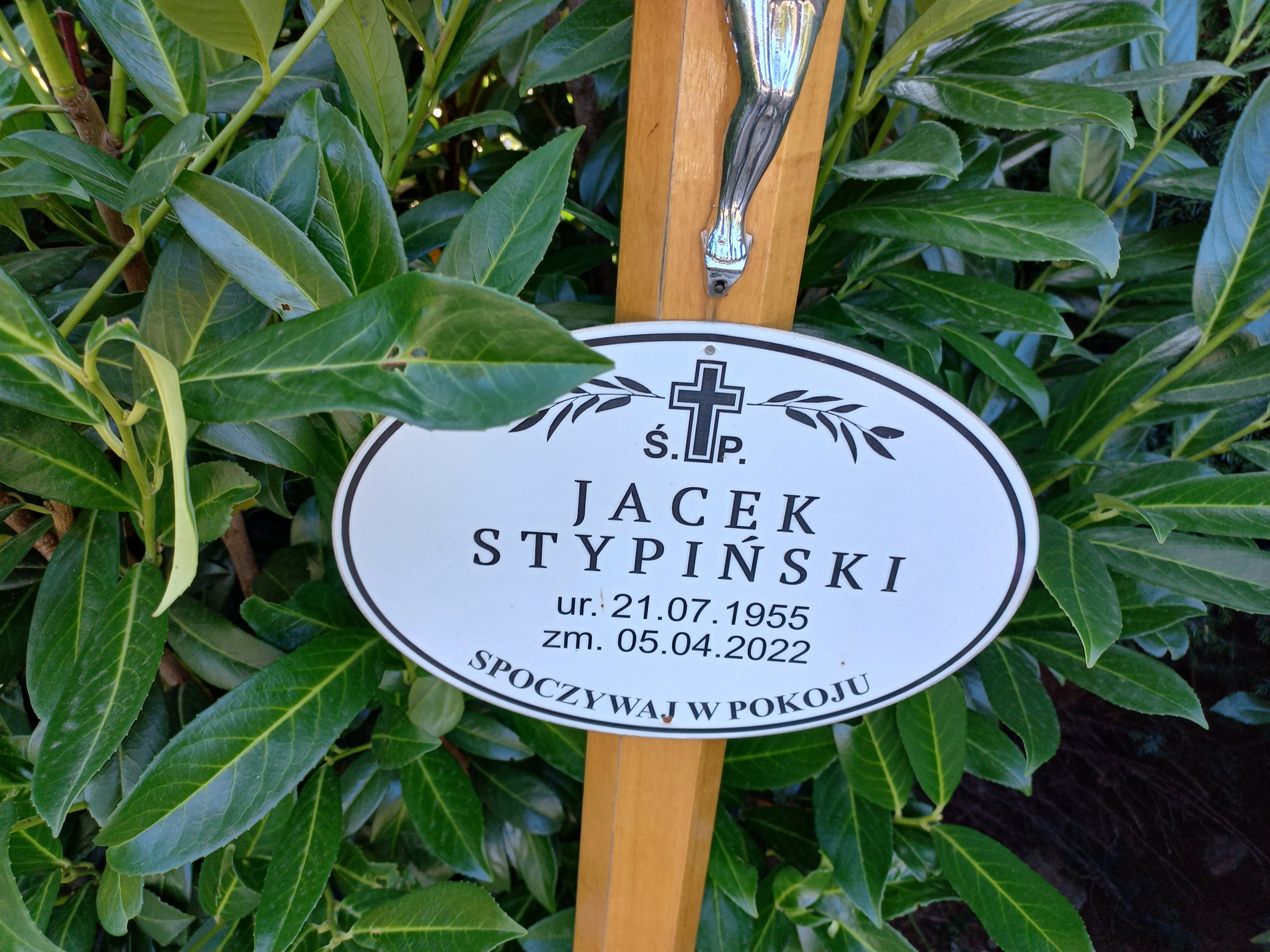 Jacek Stypiński 1955 Przeźmierowo - Grobonet - Wyszukiwarka osób pochowanych