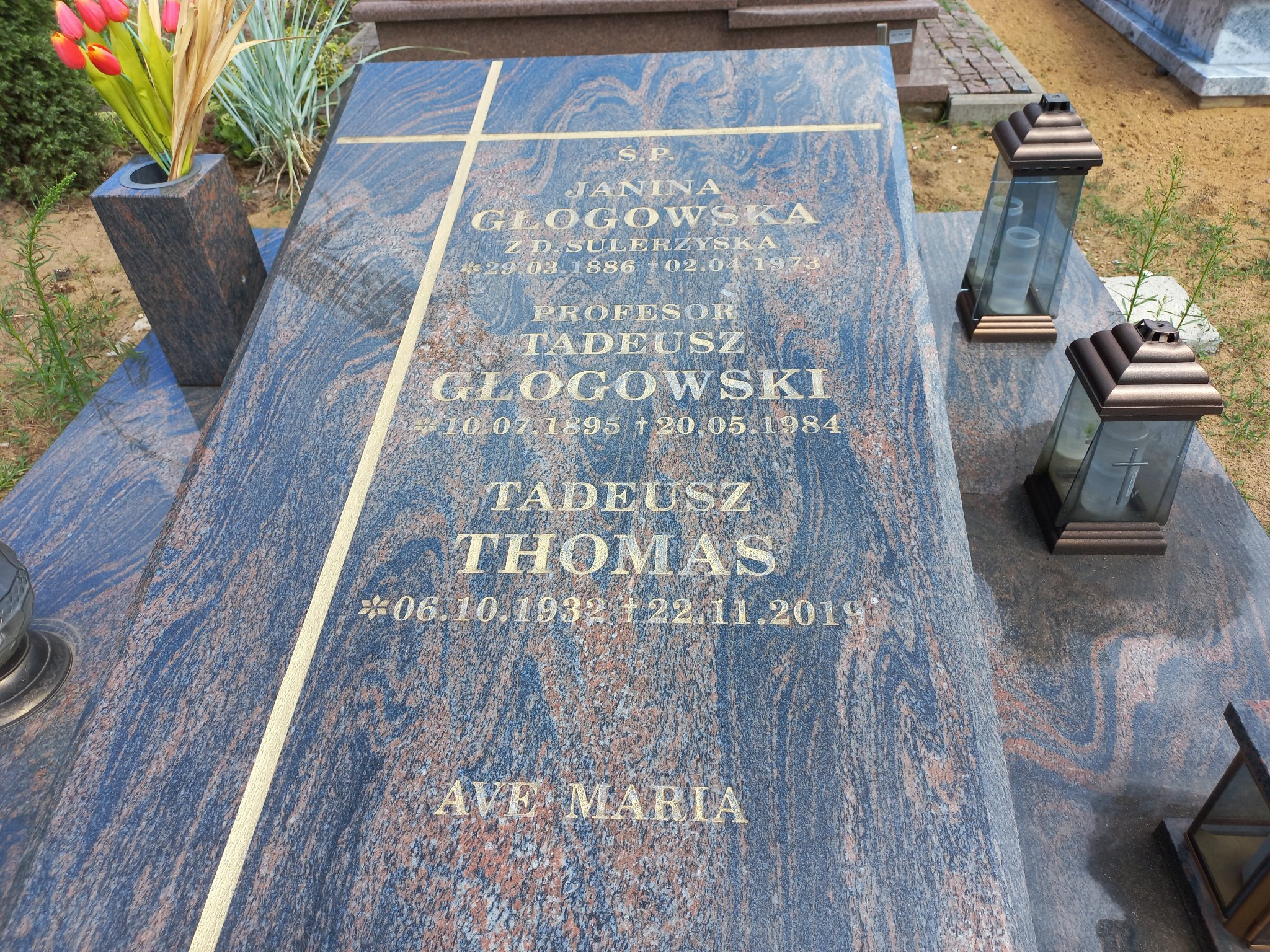 Tadeusz Głogowski 1895 Przeźmierowo - Grobonet - Wyszukiwarka osób pochowanych