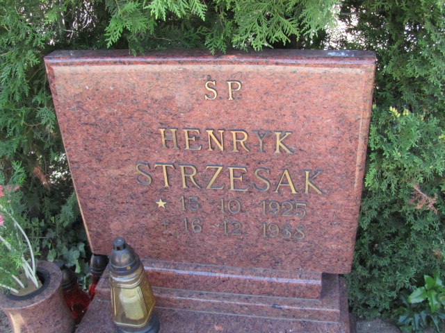Henryk Strzesak 1925 Przeźmierowo - Grobonet - Wyszukiwarka osób pochowanych