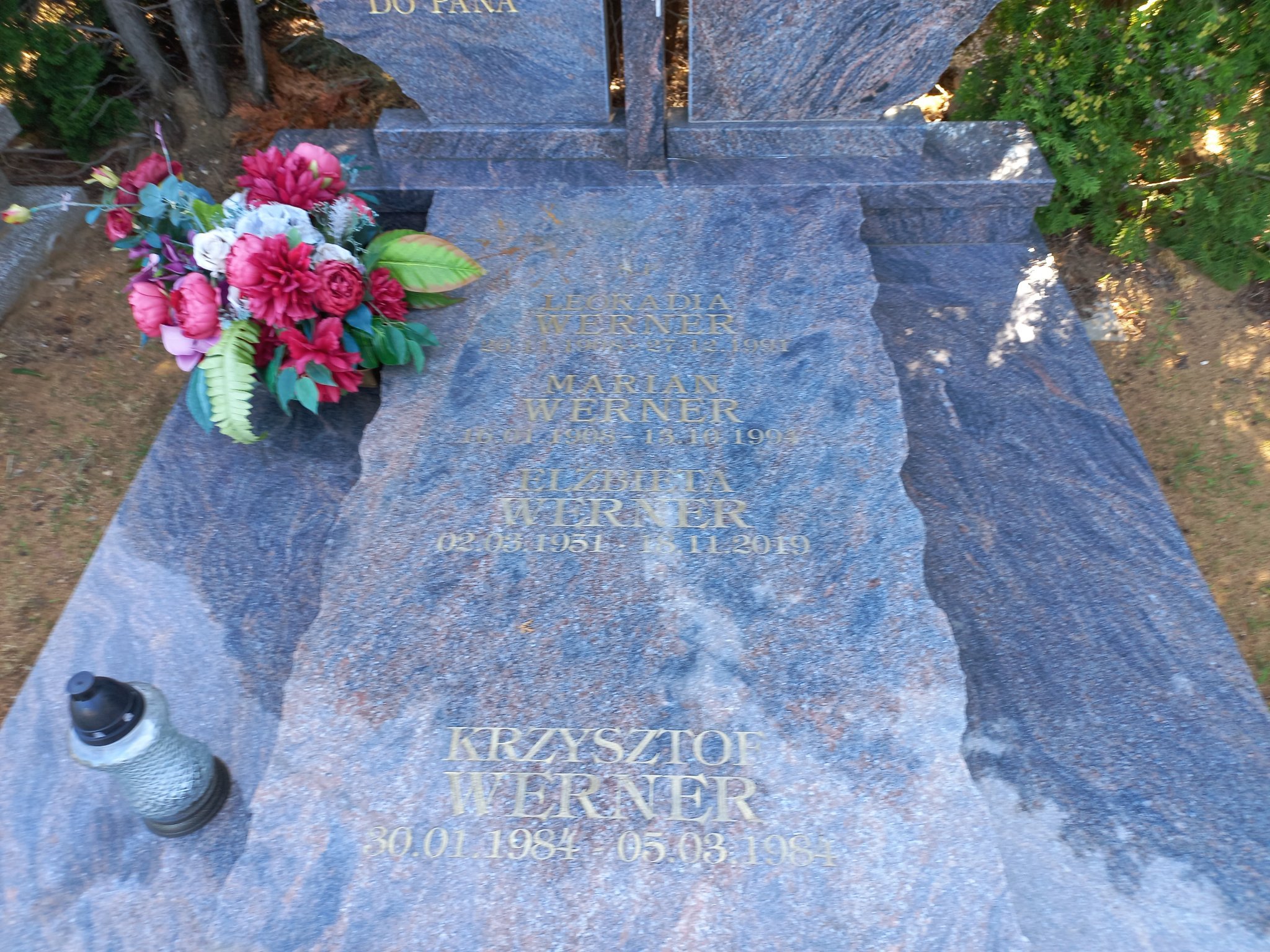 Elżbieta Werner Przeźmierowo - Grobonet - Wyszukiwarka osób pochowanych